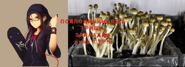 гашик Балабаново