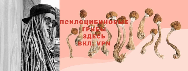 гашик Балабаново
