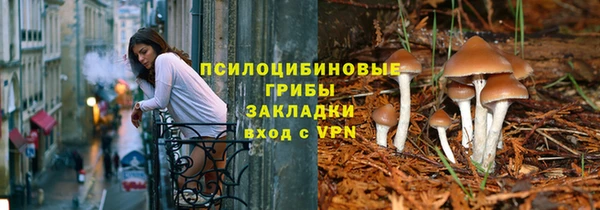 гашик Балабаново